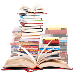 Public Libraries